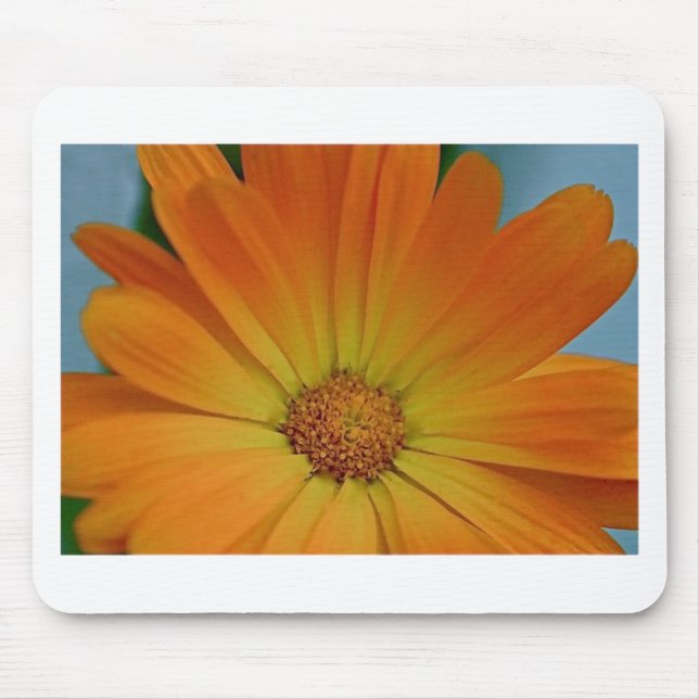 Orange Gerber Daisy Mouse Mat (Front)