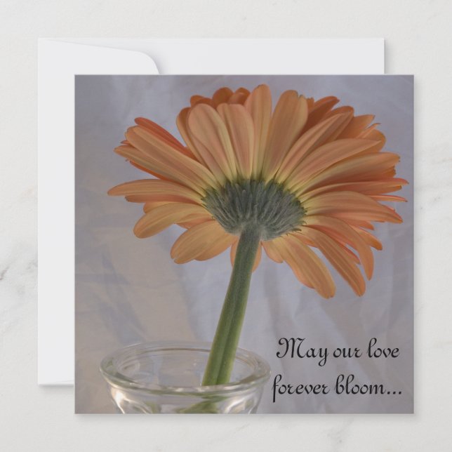 Orange Gerber Daisy Wedding Invitation (Front)