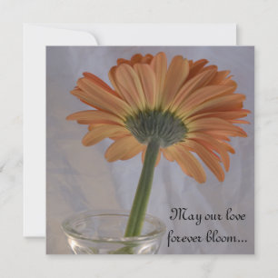 Orange Gerber Daisy Wedding Invitation