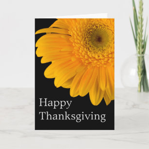 Orange Gerber Flower :: Happy Thanksgiving Card