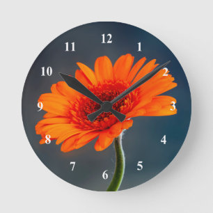 Orange Gerbera Acrylic wall clock