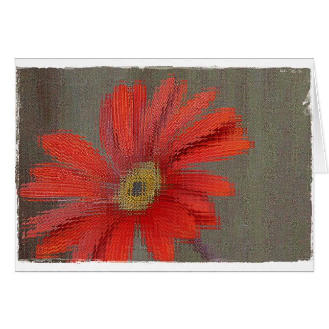 Orange Gerbera blank card (Front Horizontal)