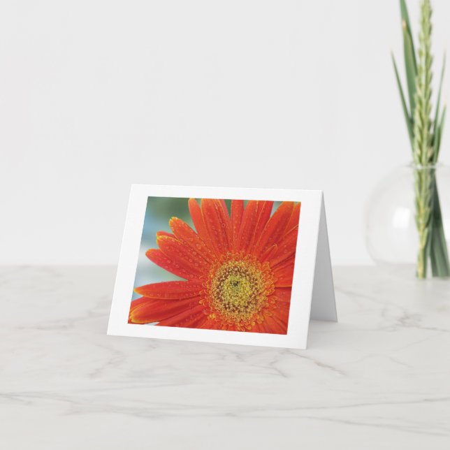 Orange Gerbera Card (Front)