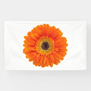 Orange Gerbera Daisy Banner