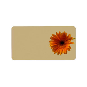 Orange Gerbera Daisy Blank Wedding Address Labels
