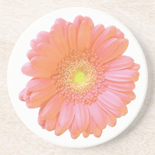 Orange gerbera daisy coaster