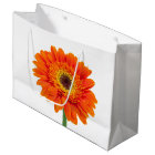 Orange Gerbera Daisy Flower