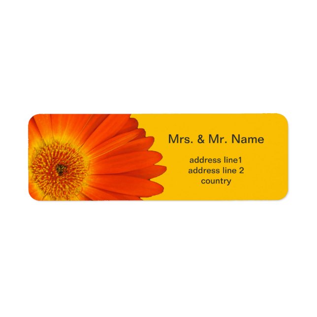 orange gerbera daisy flowers (Front)