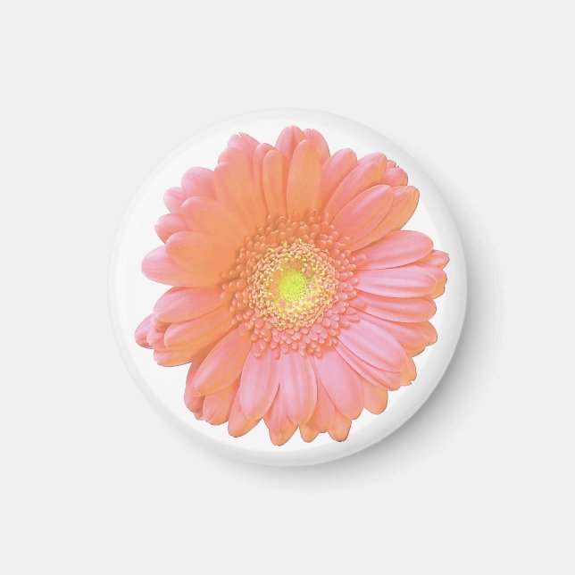 Orange gerbera daisy magnet (Front)