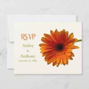 Orange Gerbera Daisy Response Card