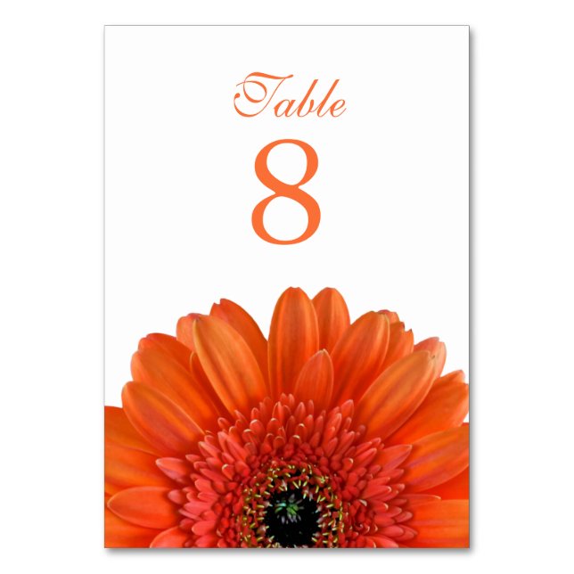 Orange Gerbera Daisy White Wedding Table Number (Back)