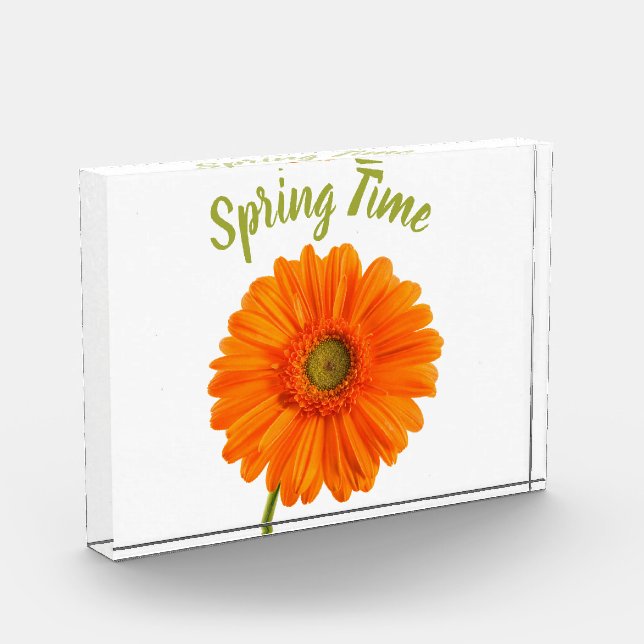 Orange gerbera flower spring time photo with text block (Left)