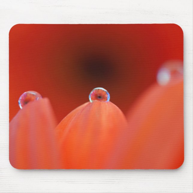 Orange Gerbera Refraction Mousepad (Front)