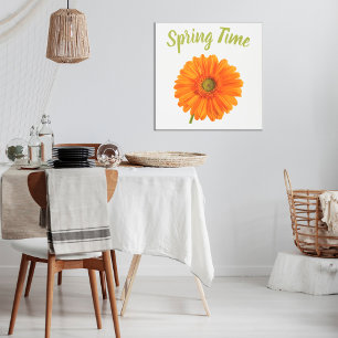 Orange Gerbera spring time flower on white photo Poster