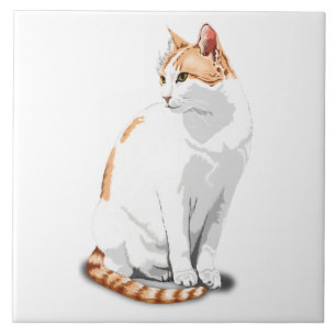Orange Ginger and White Cat Custom Tile