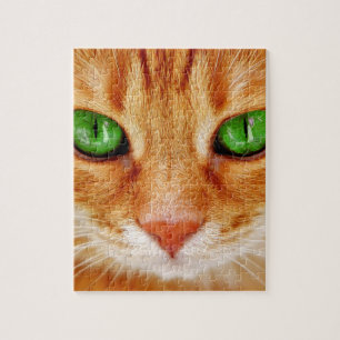 ORANGE GINGER  CAT KITTEN PUZZLE