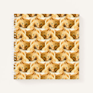 Orange Ginger Cat Pattern Notebook