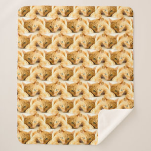 Orange Ginger Cat Pattern Sherpa Blanket