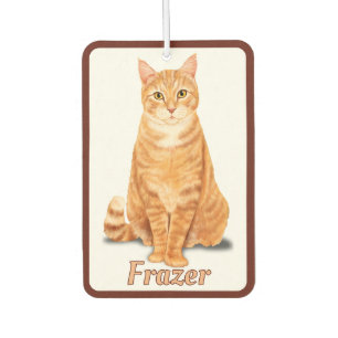 Orange Ginger Tabby Cat Personalised Car Air Freshener