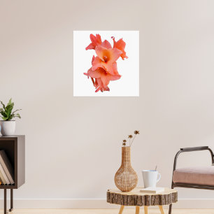 Orange Gladiolus Floral Poster