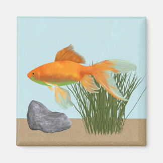 Orange Goldfish Nature Aquarium Magnet