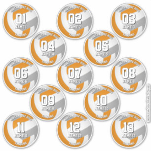 orange gray volleyball team stickers 13 athletes