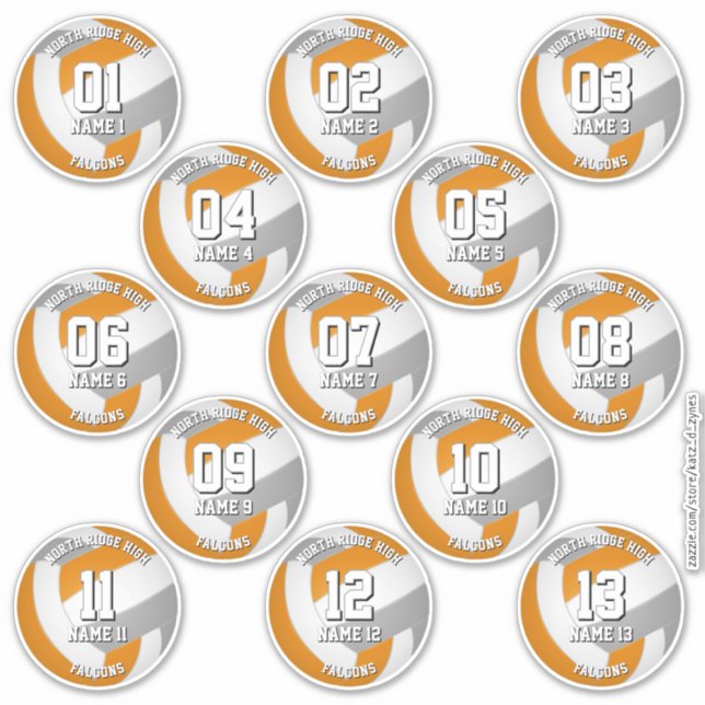 orange gray volleyball team stickers 13 athletes (Front)