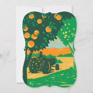 Orange Grove with Farmer Driving Vintage Tractor