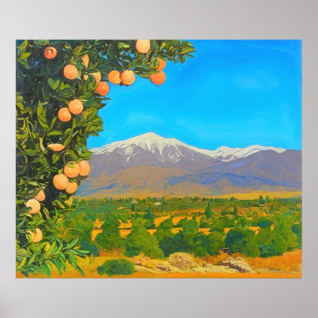 Orange Groves Snow Capped Mount Baldy Early 1900s Poster (Front)