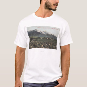 Orange Groves with Old Baldy Mt in Distance T-Shirt