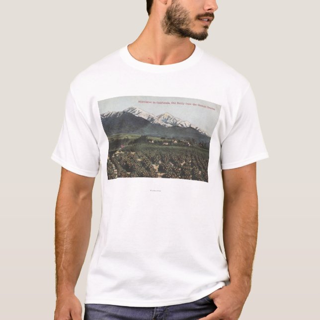Orange Groves with Old Baldy Mt in Distance T-Shirt (Front)