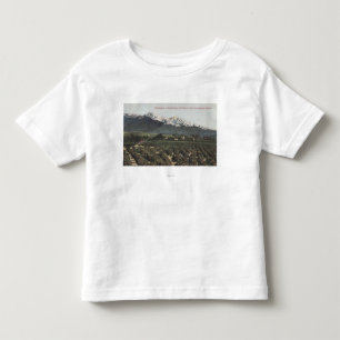 Orange Groves with Old Baldy Mt in Distance Toddler T-Shirt