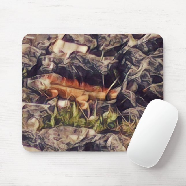 Orange Guana Art Mouse Mat (With Mouse)