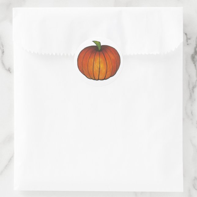 Orange Halloween Fall Harvest Pumpkin Patch Classic Round Sticker (Bag)