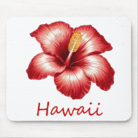 Orange hawaii hibiscus