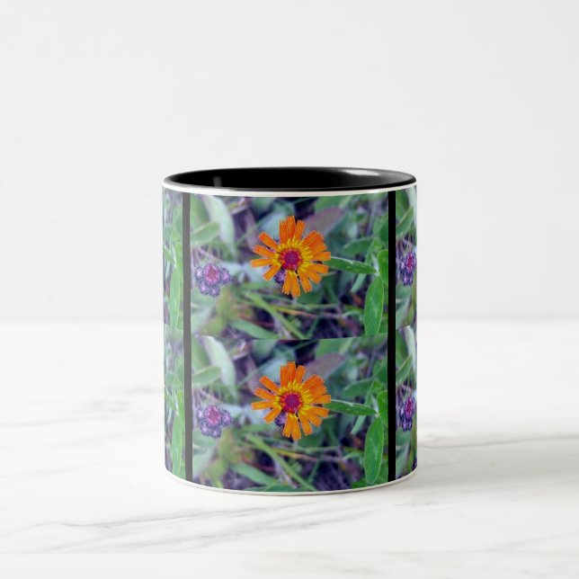 Orange Hawkweed 1 Mug (Center)