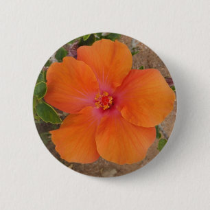 Orange Hibiscus button