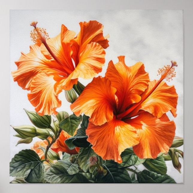 Orange Hibiscus Flower Art Print Poster (Front)