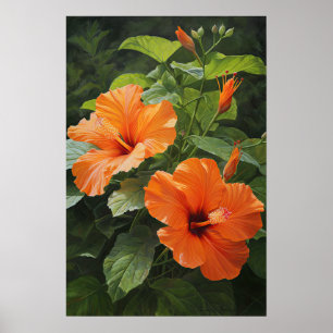 Orange Hibiscus Flower Art Print Poster