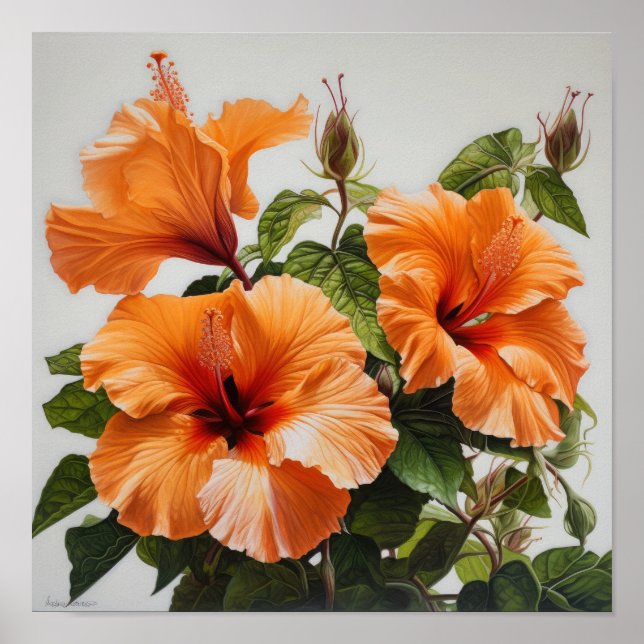 Orange Hibiscus Flower Art Print Poster (Front)