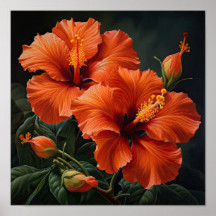 Orange Hibiscus Flower Art Print Poster