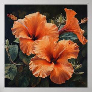 Orange Hibiscus Flower Art Print Poster
