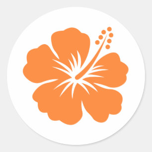 Orange hibiscus flower classic round sticker