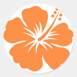 Orange hibiscus flower classic round sticker