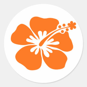 Orange hibiscus flower classic round sticker