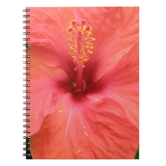 Orange Hibiscus Flower Macro Notebook (Front)