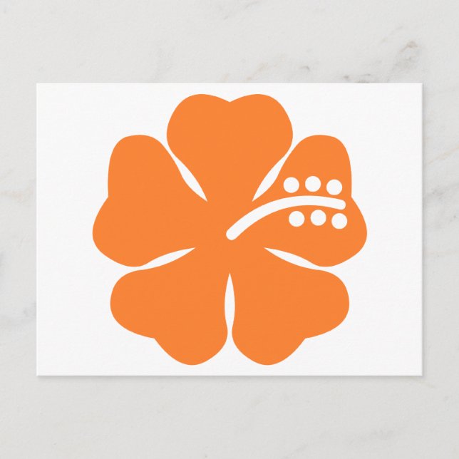 Orange hibiscus flower postcard (Front)
