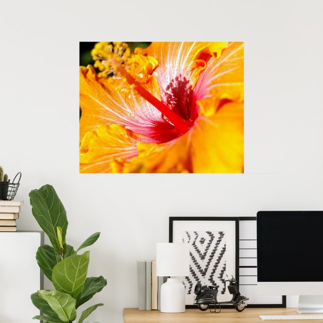 Orange Hibiscus Flower Side View 30x24 Poster (Home Office)