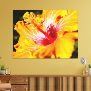 Orange Hibiscus Flower Side View Canvas Print