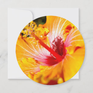 Orange Hibiscus Flower Side View Invitation